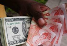 Economistas prevén que depreciación del lempira frente al dólar tendrá un impacto en la economía nacional