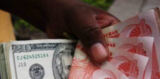 Economistas prevén que depreciación del lempira frente al dólar tendrá un impacto en la economía nacional