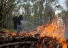 En un 78% bajan los incendios forestales este año en Honduras, según el ICF