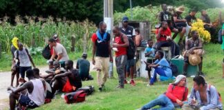 ONU pide garantizar labor de periodistas en caravanas migrantes de México