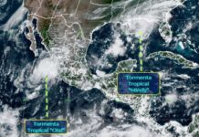 La tormenta tropical Mindy se forma en el Golfo de México y se acerca a Florida