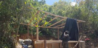 Un total de 15 narcolaboratorios y más de 300 mil arbustos de coca han sido destruidos hasta la fecha en Honduras