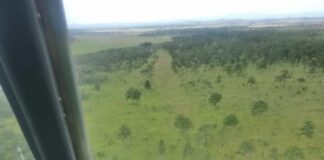 Destruyen narcopista y aseguran lancha utilizada para actividades ilícitas en La Mosquitia