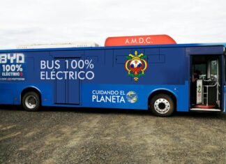 Viaje en bus eléctrico de la AMDC será gratis según sus autoridades