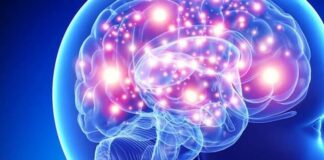 Los enfermos de demencia aumentarán en un 40 % en menos de diez años