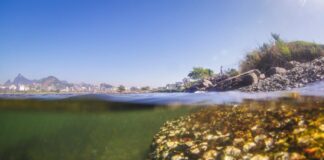 La ONU reconoce que vivir en un medio ambiente limpio es un derecho humano