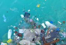 Más de 3.700 toneladas de plásticos flotan en el Mediterráneo