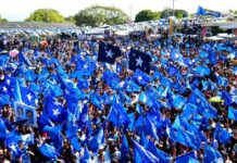 Presentan una denuncia en contra del Partido Nacional por utilizar los colores del PSH en campaña política