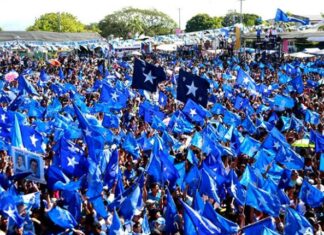 Presentan una denuncia en contra del Partido Nacional por utilizar los colores del PSH en campaña política