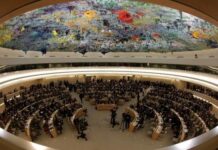 En Asamblea de las Naciones Unidas, eligen a Honduras para ser miembro del Consejo de Derechos Humanos de la ONU