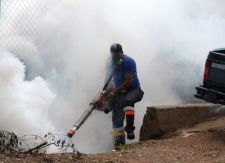 Secretaría de Salud intensifica guerra contra rebrote del dengue