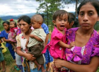 FAO pide 37,7 millones de dólares para enfrentar el hambre en Centroamérica