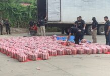 MP dirige nueva incautación de cargamento de marihuana en zona norte
