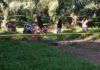 ¡Continúan las masacres! tres personas han sido asesinadas en una aldea de Tocoa