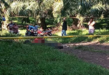 ¡Continúan las masacres! tres personas han sido asesinadas en una aldea de Tocoa