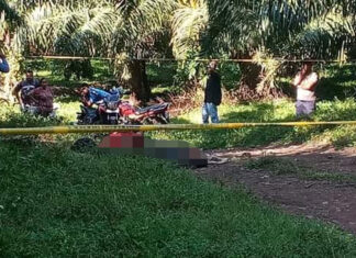 ¡Continúan las masacres! tres personas han sido asesinadas en una aldea de Tocoa