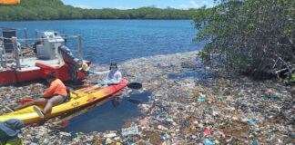 La contaminación de las playas de Omoa y Tela se extiende hasta Roatán