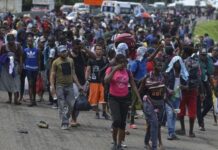 Nueva caravana de migrantes busca dejar Chiapas y llegar a la Ciudad de México