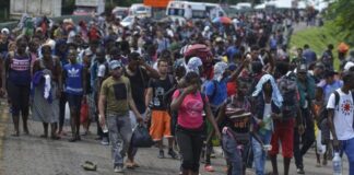 Nueva caravana de migrantes busca dejar Chiapas y llegar a la Ciudad de México