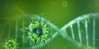 Descubren cinco compuestos que inhiben la proteína que replica el SARS-CoV-2