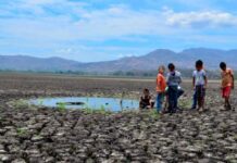 El Fondo Verde otorga 174,3 millones de dólares para aumentar la capacidad de adaptación a los efectos de la crisis climática en el corredor seco