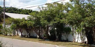Dentro de una bolsa dejan el cuerpo de una persona en el barrio La Guardia de San Pedro Sula