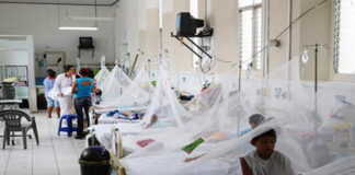 Siguen en aumento los casos de dengue en menores de edad en Honduras