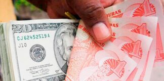 Según economistas: Depreciación del lempira frente al dólar no es acelerada