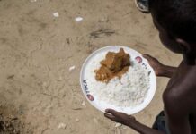 La ONU alerta del impacto del cambio climático en la inseguridad alimentaria