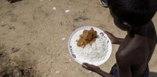 La ONU alerta del impacto del cambio climático en la inseguridad alimentaria