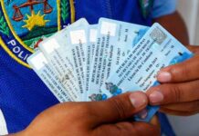 Policías enfrentan proceso penal por emitir licencias de conducir de manera fraudulenta