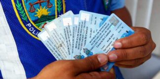 Policías enfrentan proceso penal por emitir licencias de conducir de manera fraudulenta