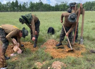 Fusina destruye narcopista en el departamento de Gracias a Dios