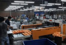 Exportación de plástico superará los $130 millones en Honduras