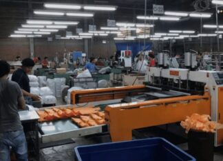 Exportación de plástico superará los $130 millones en Honduras