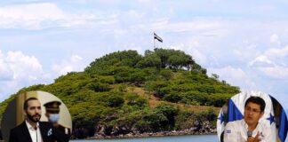 Bukele ofrece «un snickers» a JOH por su «advertencia» sobre la Isla Conejo