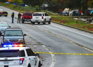 Tiroteo en fiesta de Halloween deja al menos dos muertos y una docena de heridos en Illinois, EE. UU.