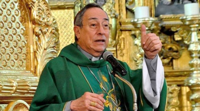 Votar en plancha es estar en complicidad con el mal, dice el Cardenal Rodríguez en homilía
