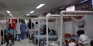 Aumentan los casos de dengue en zona norte de Honduras, alertan autoridades de Salud