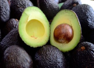 Honduras supera meta de sembrar 4 mil hectáreas de aguacate Hass