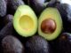 Honduras supera meta de sembrar 4 mil hectáreas de aguacate Hass