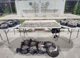 Autoridades decomisan alrededor de 2,300 bolsas de marihuana en SPS
