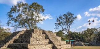 Anuncian nuevas rutas aéreas en región maya de México, Guatemala y Honduras