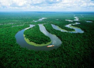 La Amazonía está próxima a entrar en un «catastrófico» punto de no retorno