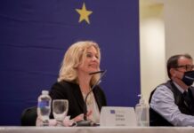 Jefa de la Misión Europea: Esperamos que se desarrollen unas elecciones pacíficas y transparentes