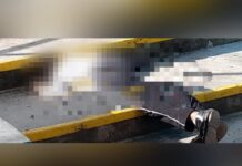 Tiroteo deja un guardia de seguridad fallecido y dos heridos en colonia de Tegucigalpa