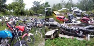 La DNVT subastará alrededor de 3 mil vehículos y motocicletas en estado de abandono