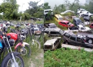 La DNVT subastará alrededor de 3 mil vehículos y motocicletas en estado de abandono