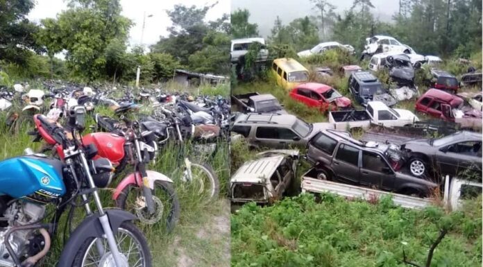 La DNVT subastará alrededor de 3 mil vehículos y motocicletas en estado de abandono