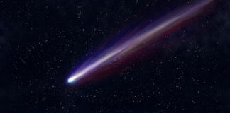 El Cometa Leonard se podrá ver desde la tierra el próximo 12 de diciembre